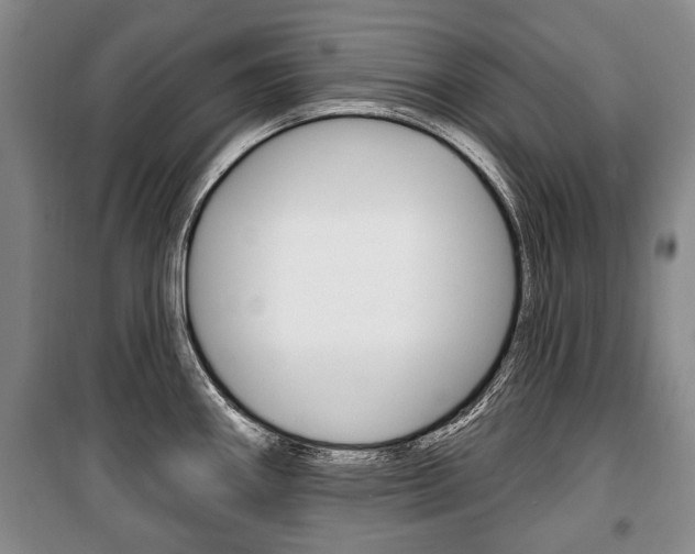 X0000101201290200806270820