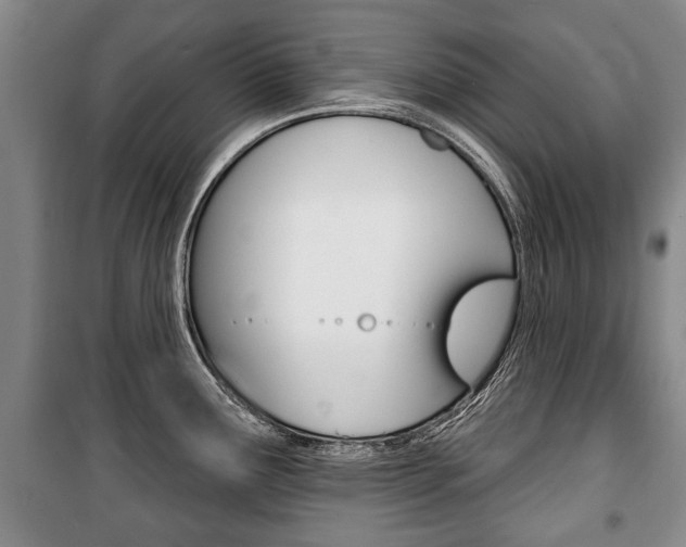 X0000101201291200806270820