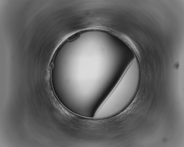 X0000101201292200806270820