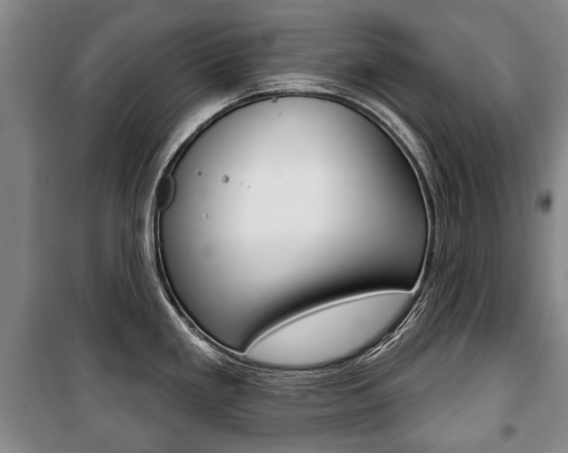 X0000101201293200806270820