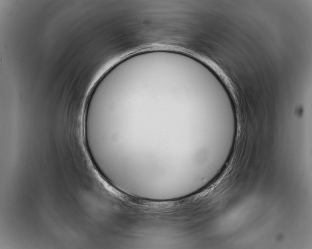 X0000101201294200806270820