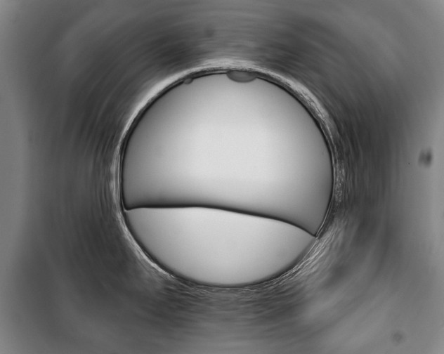 X0000101201295200806270820