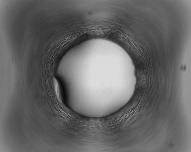 X0000101201297200806270820