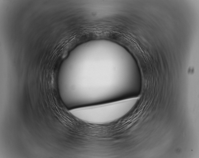 X0000101201298200806270820