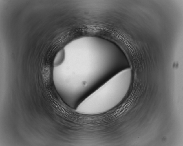 X0000101201299200806270820