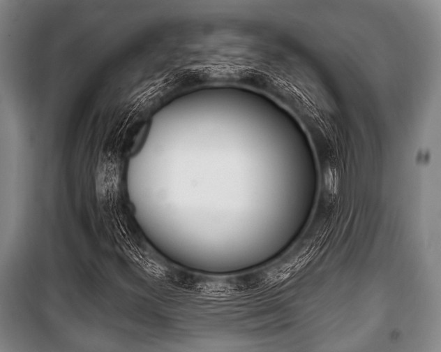 X0000101201300200806270820