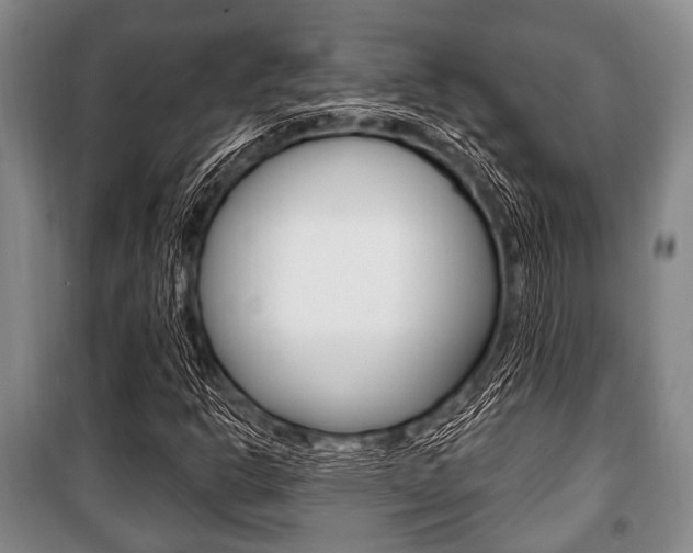 X0000101201302200806270820