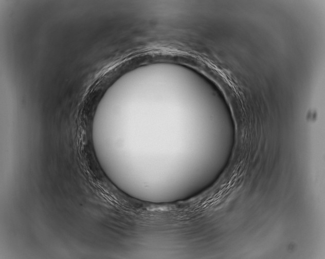 X0000101201303200806270820