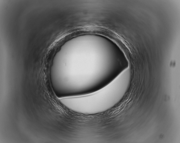 X0000101201304200806270820