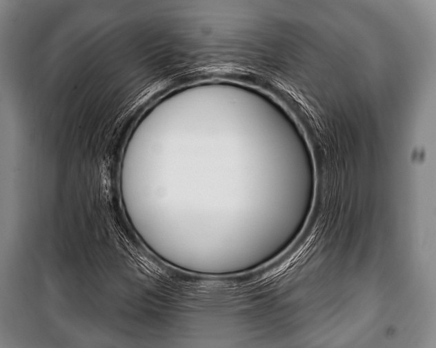 X0000101201305200806270820