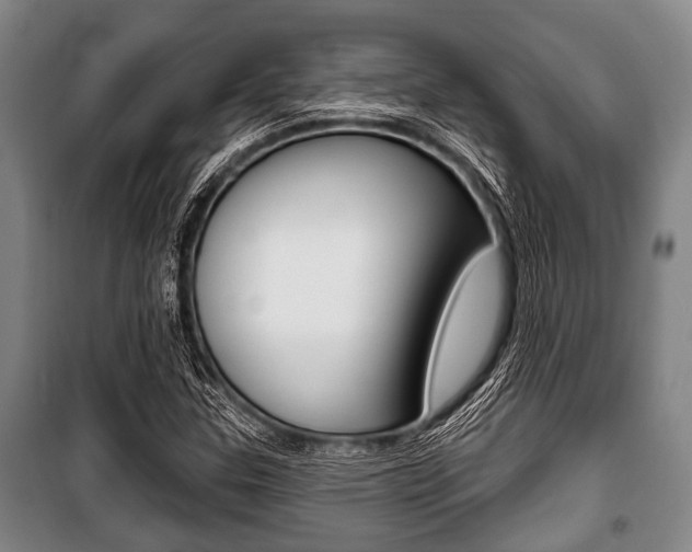 X0000101201307200806270820