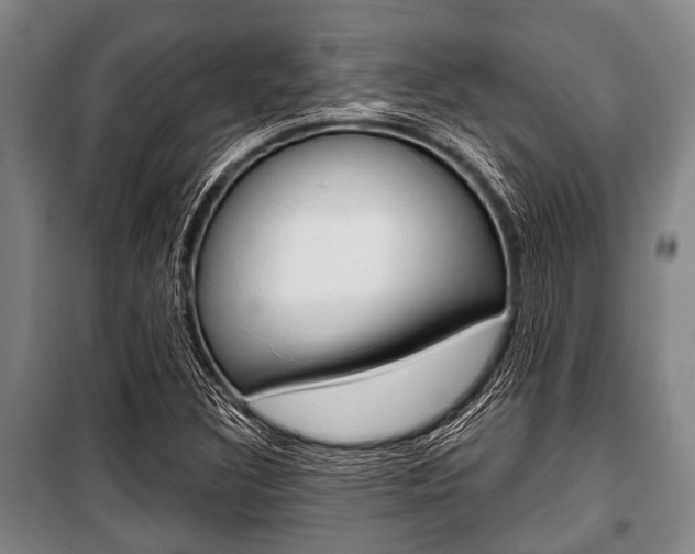 X0000101201308200806270820
