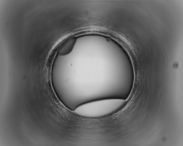 X0000101201310200806270820