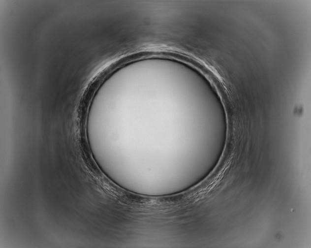 X0000101201311200806270820