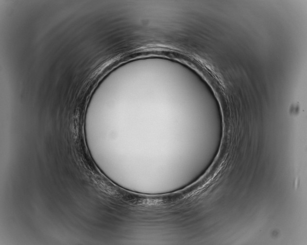 X0000101201313200806270820