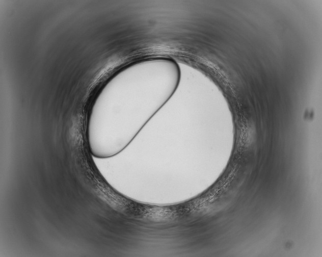 X0000101201314200806270820