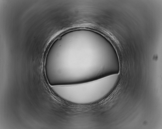 X0000101201316200806270820