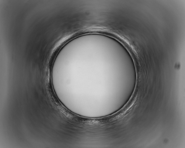 X0000101201317200806270820