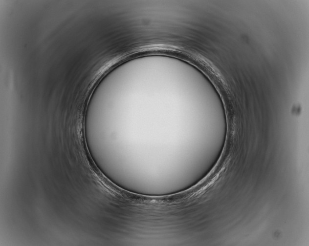 X0000101201321200806270820