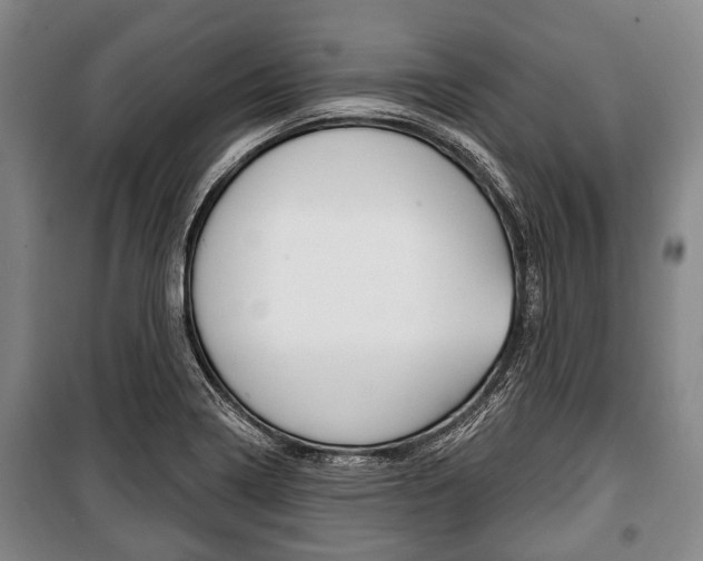 X0000101201322200806270820