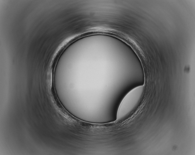 X0000101201323200806270820