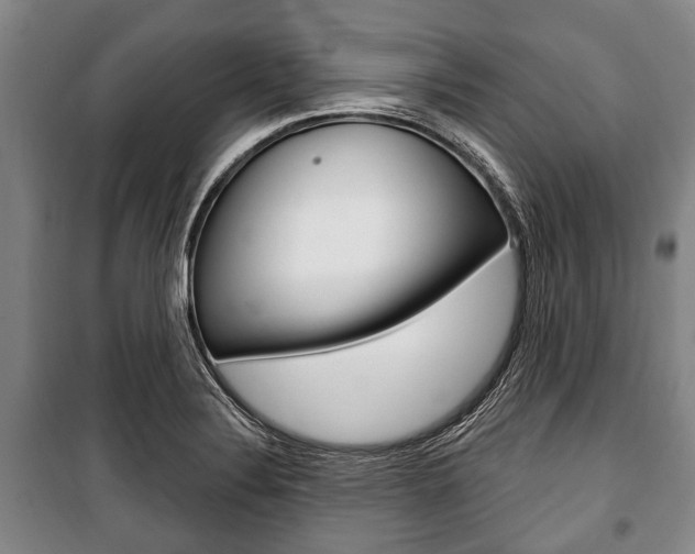 X0000101201324200806270820