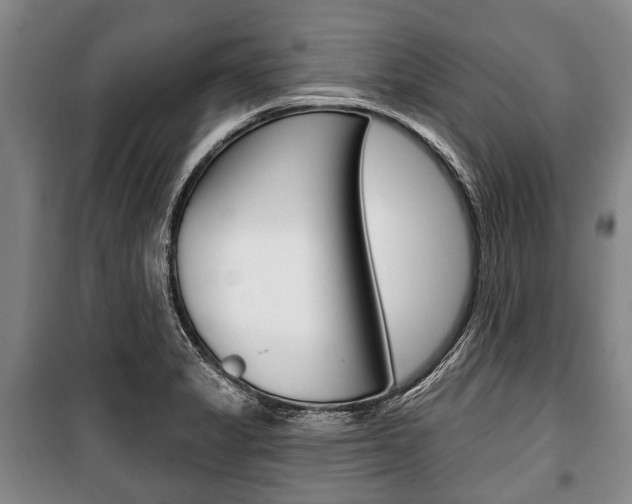 X0000101201325200806270820