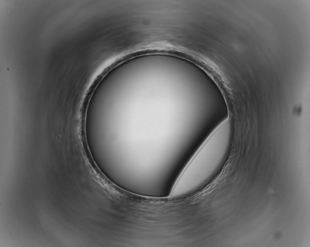 X0000101201326200806270820