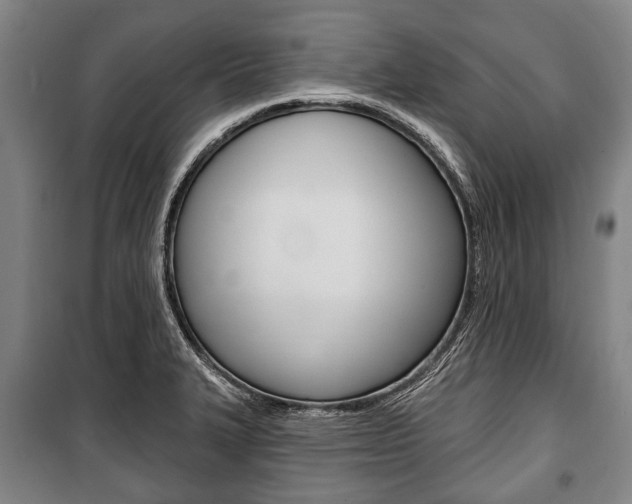 X0000101201327200806270820
