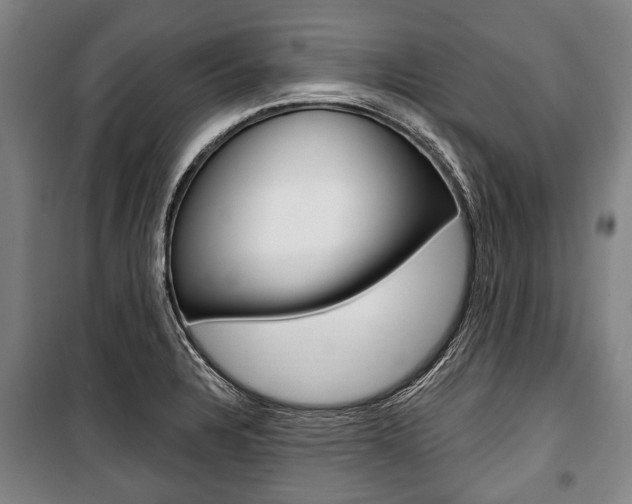 X0000101201328200806270820