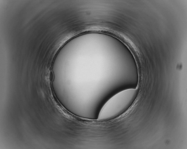X0000101201329200806270820