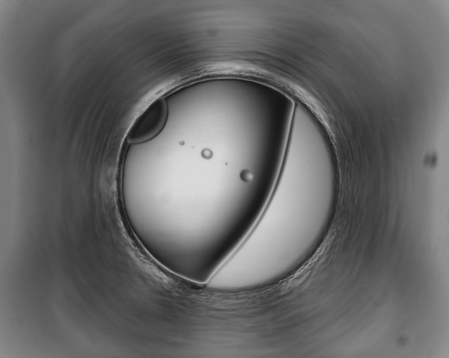 X0000101201330200806270820