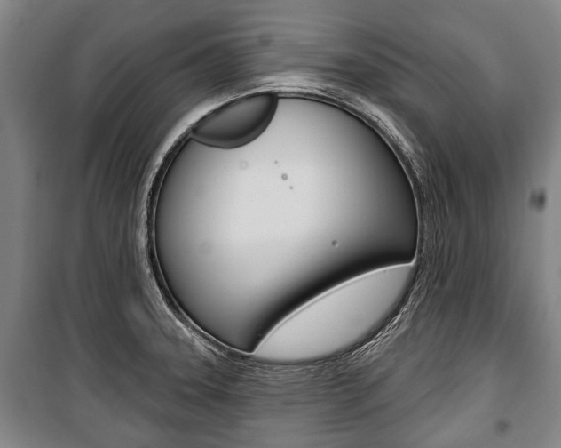 X0000101201331200806270820