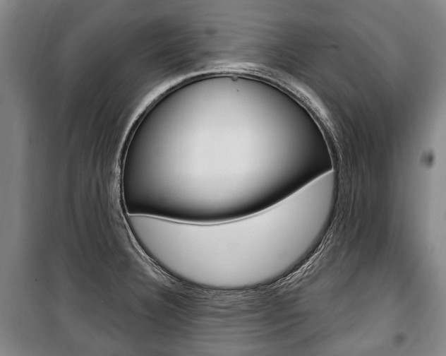 X0000101201332200806270820