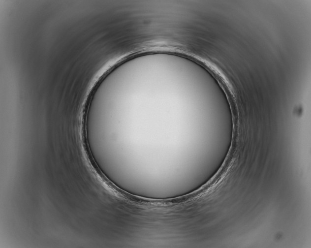 X0000101201333200806270820