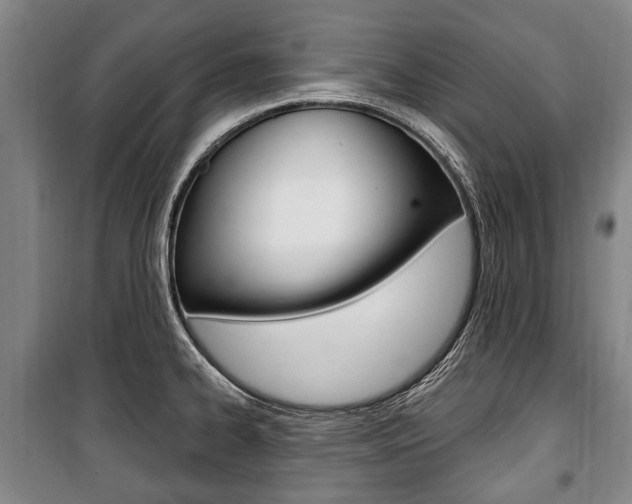 X0000101201334200806270820