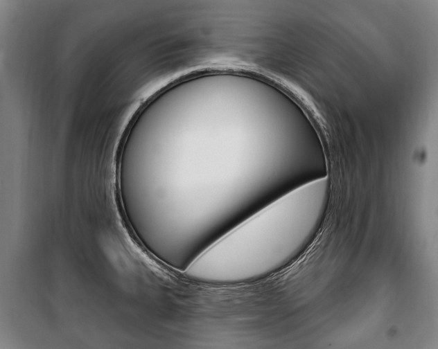 X0000101201335200806270820