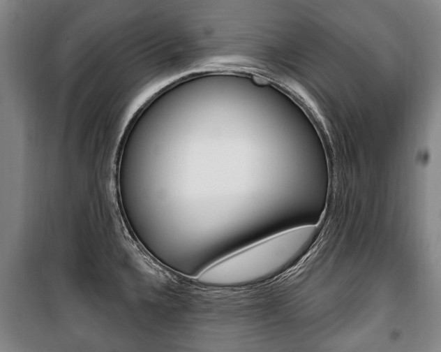 X0000101201336200806270820