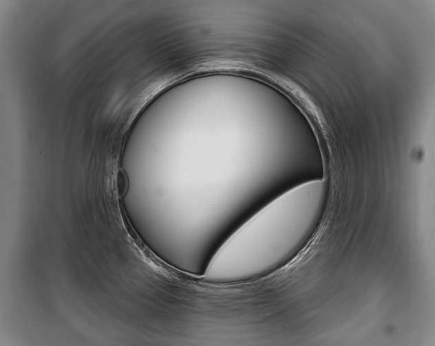 X0000101201337200806270820