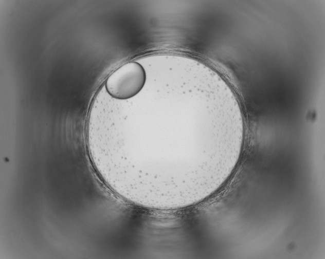 X0000101201338200806270820