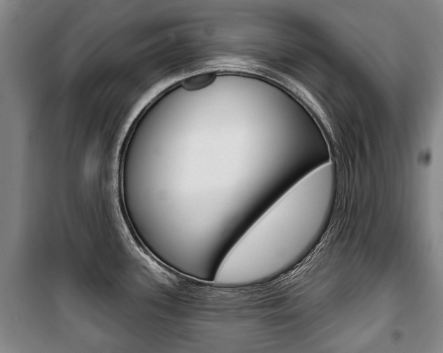 X0000101201339200806270820
