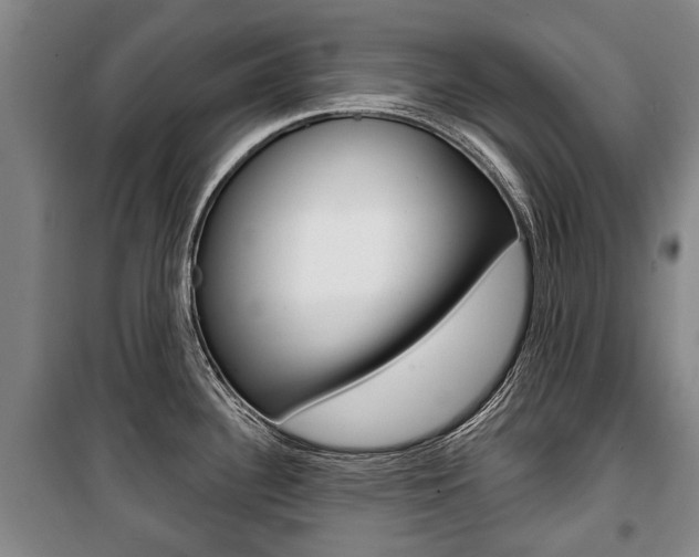 X0000101201340200806270820