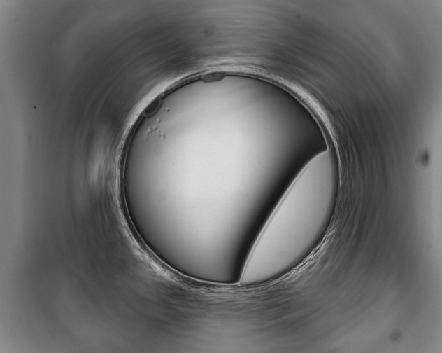 X0000101201341200806270820