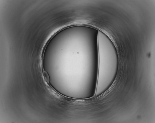 X0000101201342200806270820