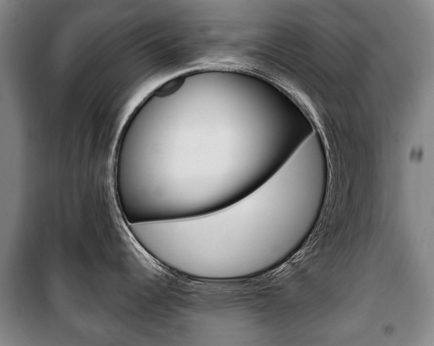 X0000101201344200806270820