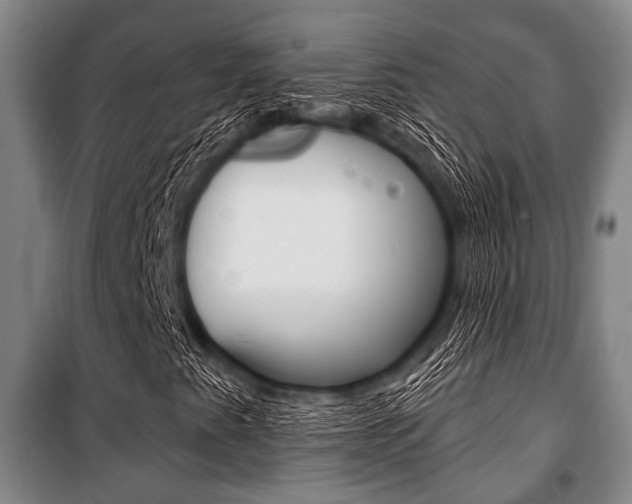 X0000101201345200806270820