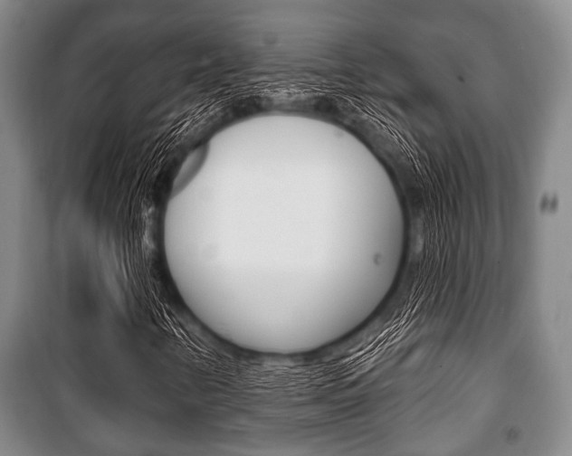X0000101201346200806270820