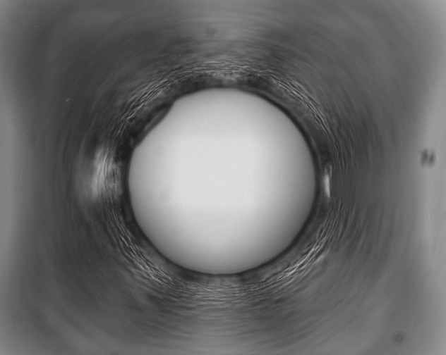 X0000101201347200806270819
