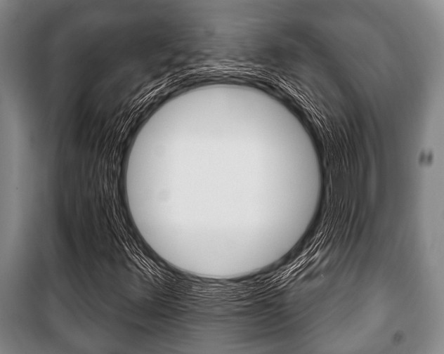 X0000101201348200806270819