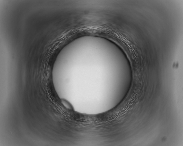 X0000101201349200806270819